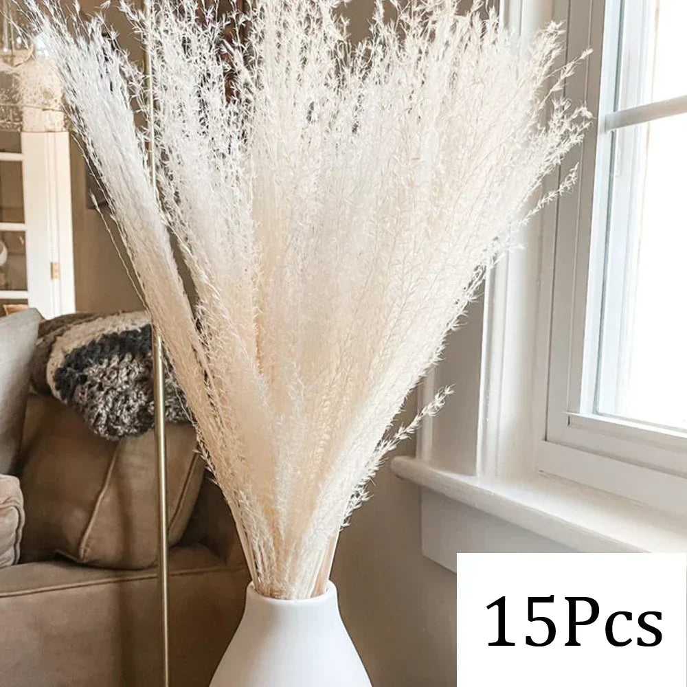 Real Dried Pampas Grass Arrangements