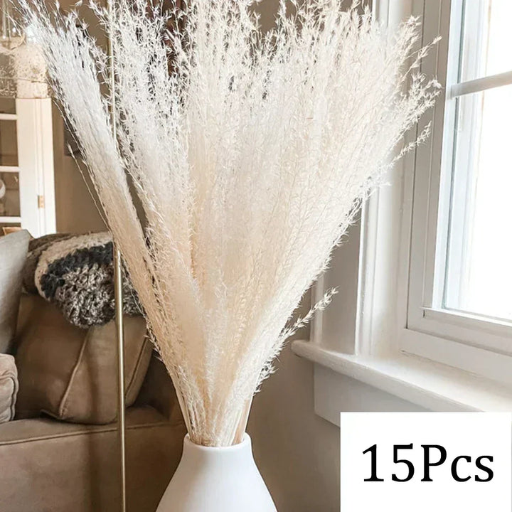 Real Dried Pampas Grass Arrangements