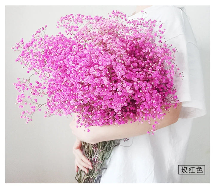Natural Fresh Dried Baby's Breath