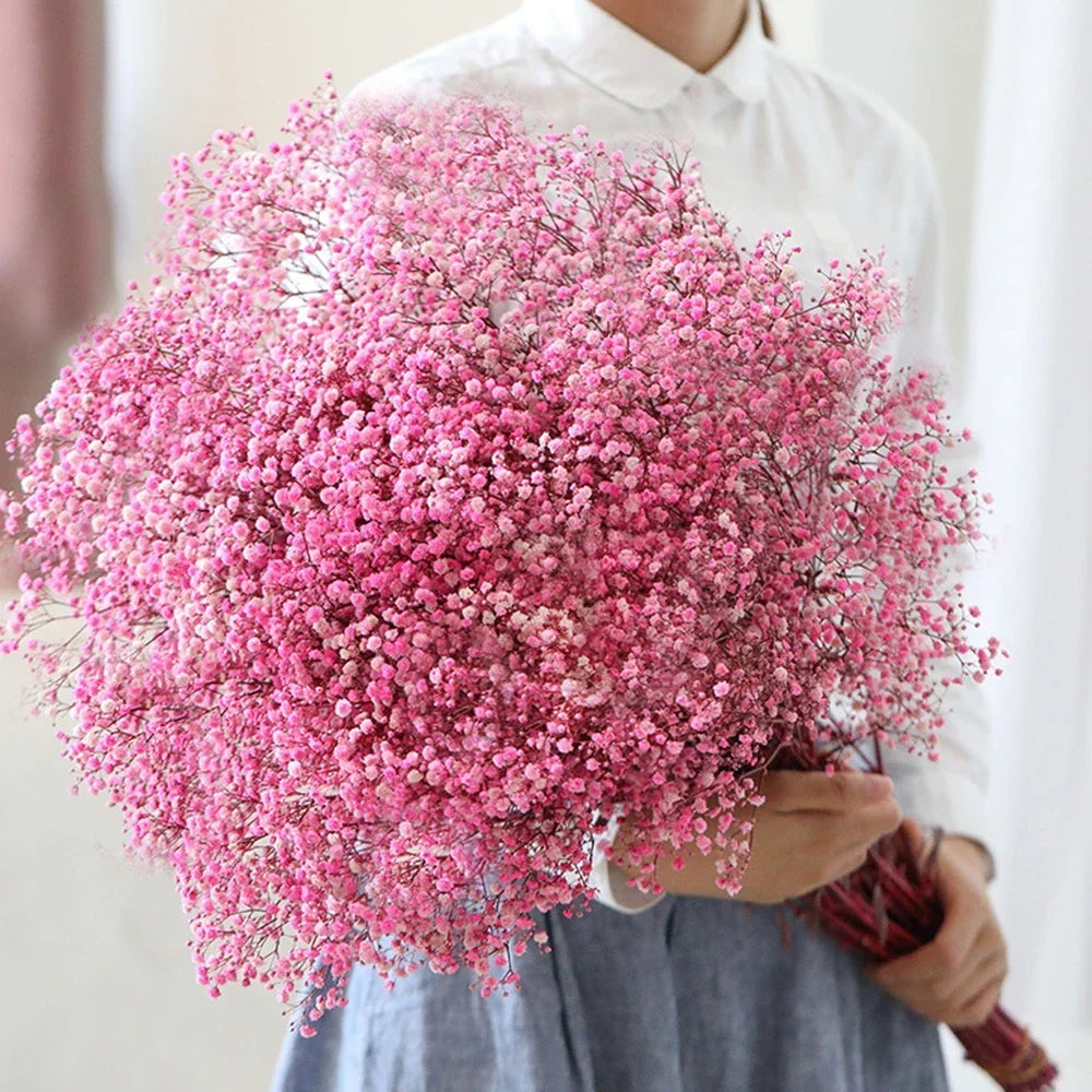 Natural Fresh Dried Baby's Breath