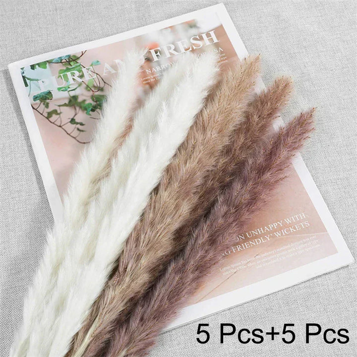 Real Dried Pampas Grass Arrangements
