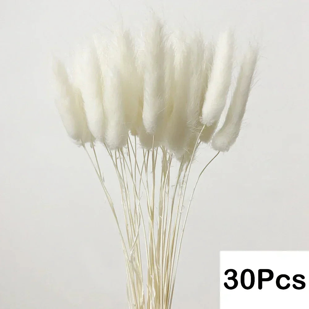 Real Dried Pampas Grass Arrangements