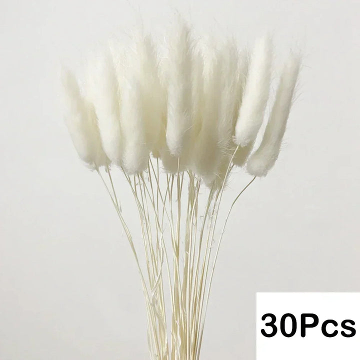 Real Dried Pampas Grass Arrangements