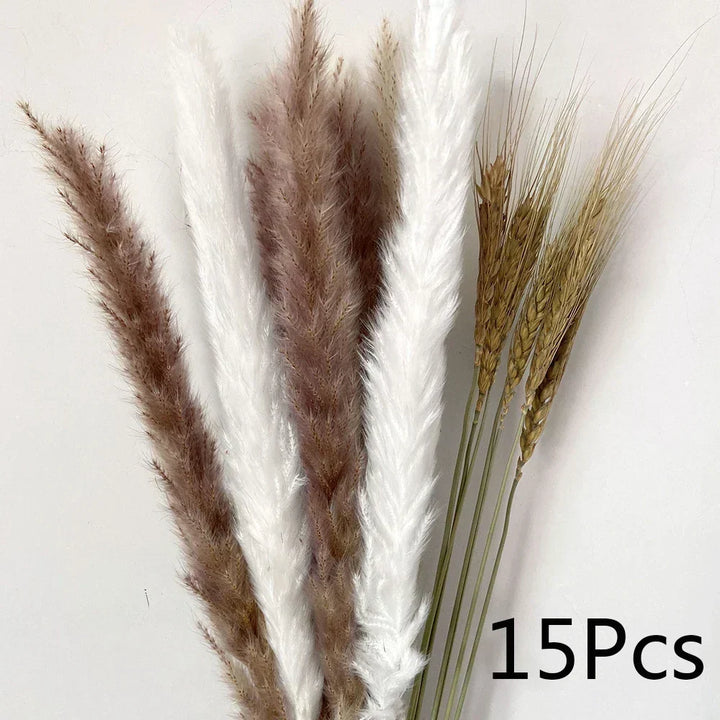 Real Dried Pampas Grass Arrangements