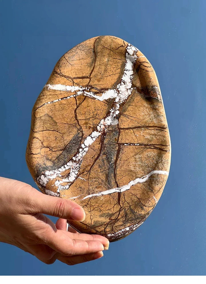 Natural Stone Calacatta Viola Marble Tray