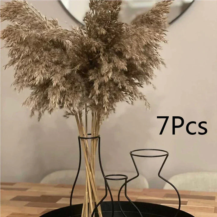 Real Dried Pampas Grass Arrangements
