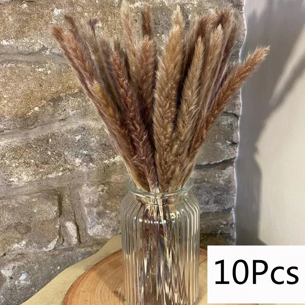 Real Dried Pampas Grass Arrangements