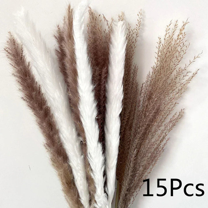 Real Dried Pampas Grass Arrangements