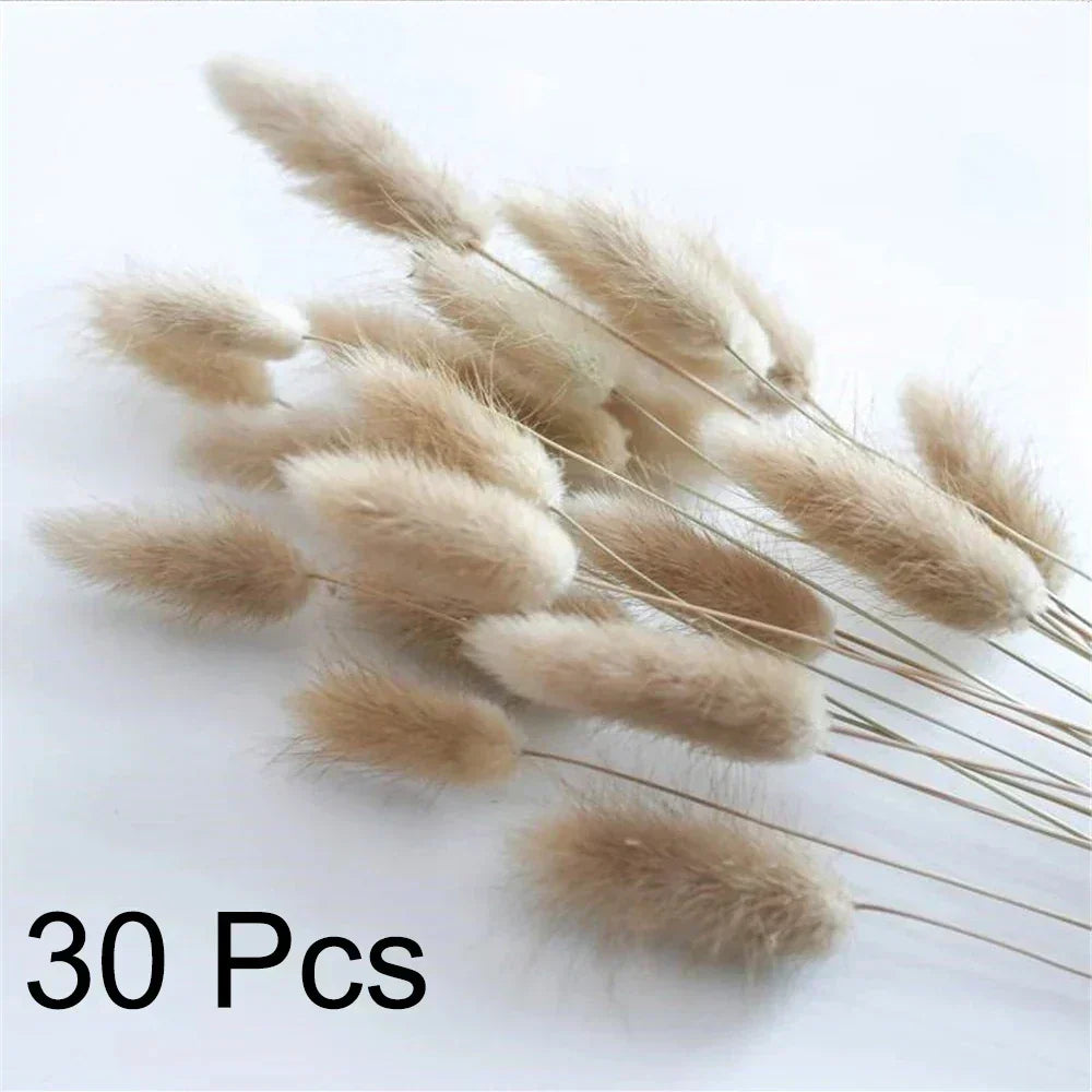 Real Dried Pampas Grass Arrangements