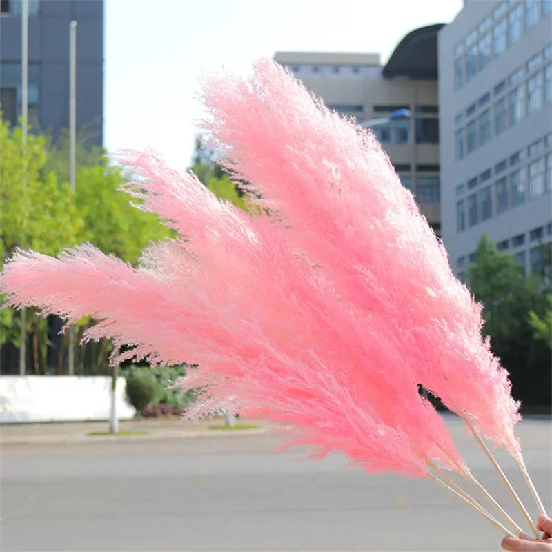 110-120cm Large Fluffy Pampas Grass