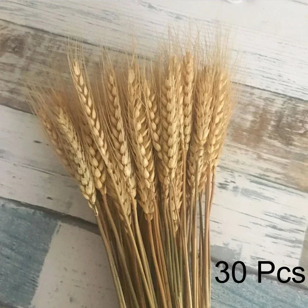 Real Dried Pampas Grass Arrangements
