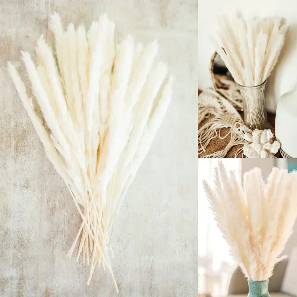 Real Dried Pampas Grass Arrangements