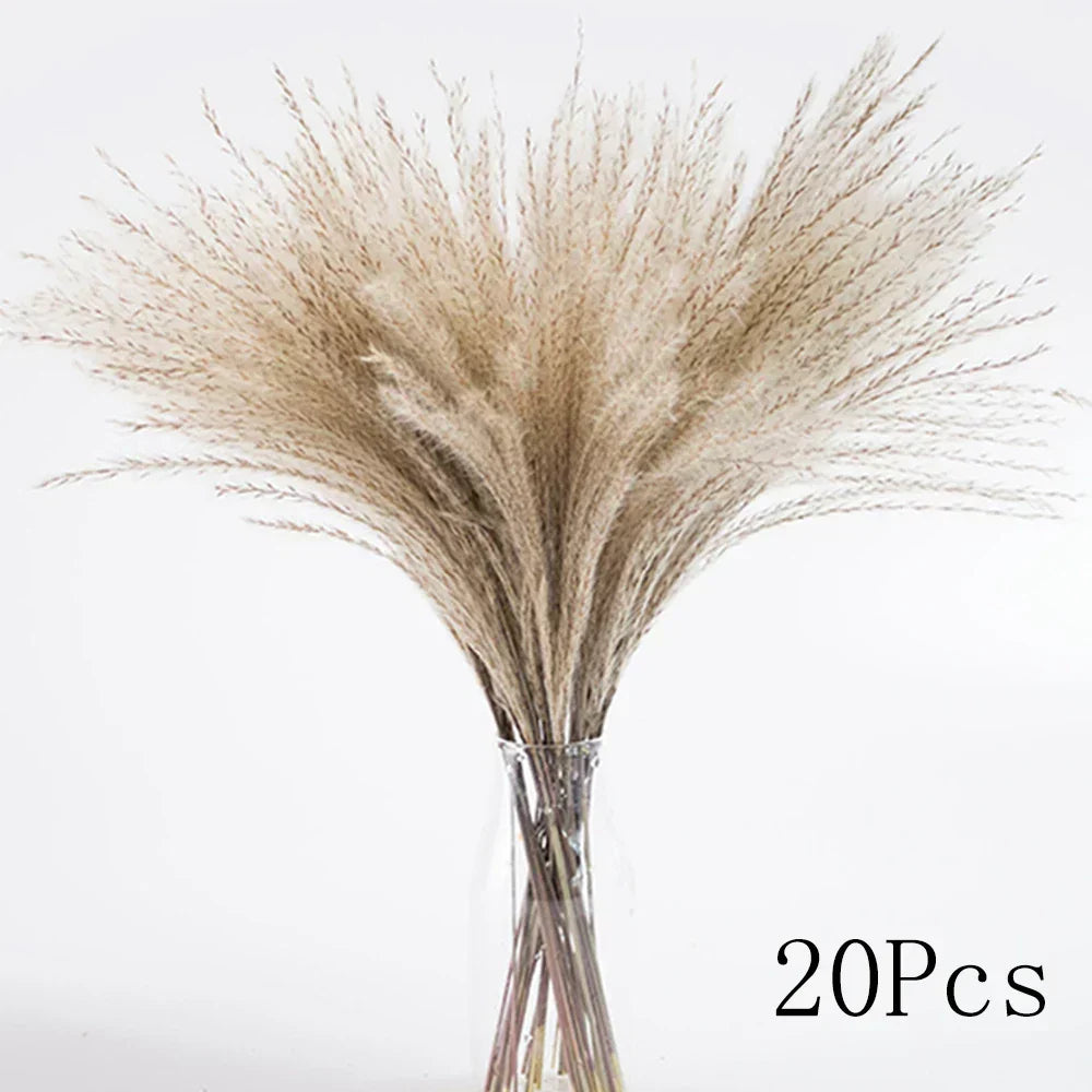 Real Dried Pampas Grass Arrangements