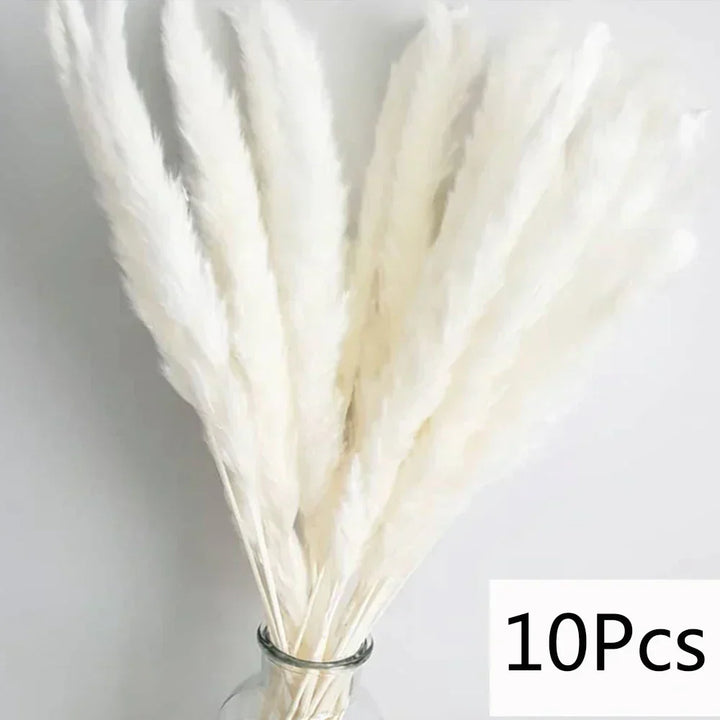 Real Dried Pampas Grass Arrangements