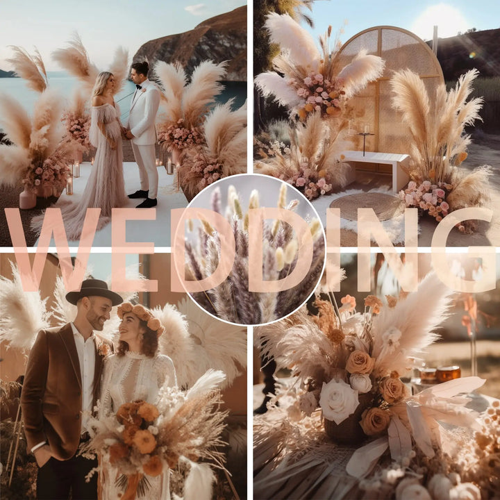 110-120cm Large Fluffy Pampas Grass