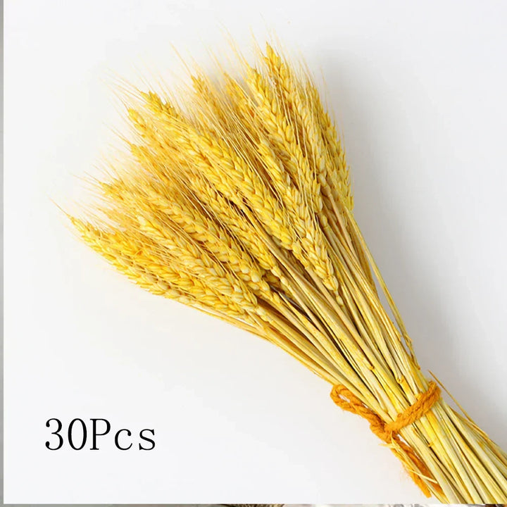 Real Dried Pampas Grass Arrangements