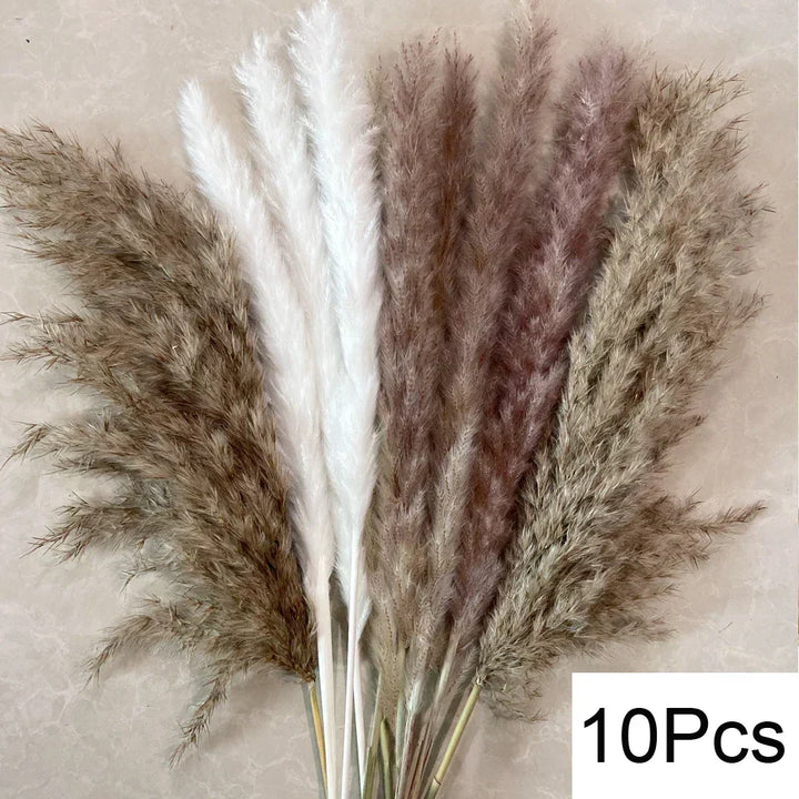 Real Dried Pampas Grass Arrangements
