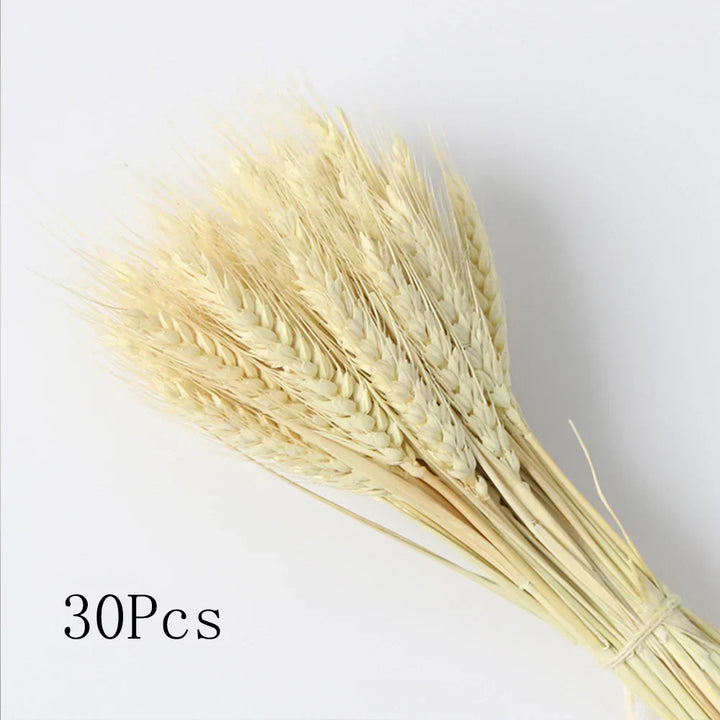 Real Dried Pampas Grass Arrangements